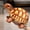 YE, variant on EGNMCR 12.6 In Simulation Turtle Doll Turtle Plush Toys Cloth Doll Souvenir Plush Toys For Children Birthday Gift Simulation Fluffy TurtleSnakerabbit Birthday Gifts for Kids