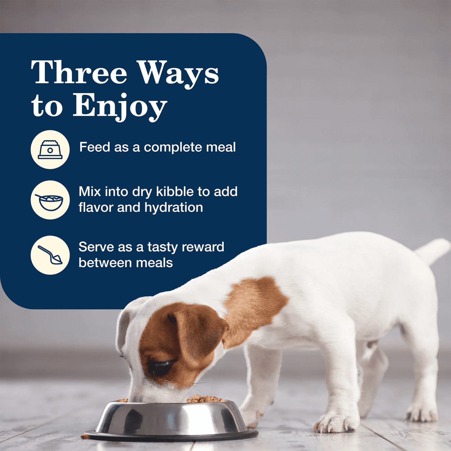 Blue Buffalo Homestyle Recipe Repas au poulet pour chiots, nourriture humide, boîte de 354 ml (12,5 oz)