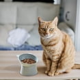 thumbnail image 1 of Bol d'Alimentation pour Animaux Incliné à 15 Degrés Antidérapant et Rabattable Bol pour Animaux Bols pour Chiens, 1 of 4