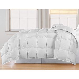 Blue Ridge Home Fashions, Inc. Microfiber Down Fiber Full-Queen in White Color Down/Down Down/Down Blend Comforter,