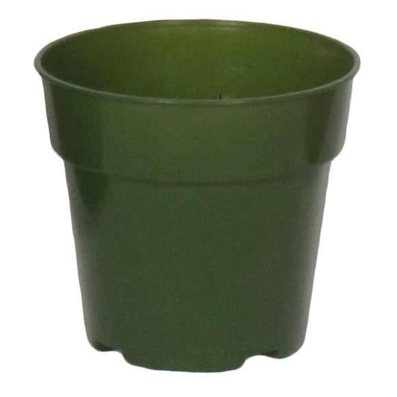 4"Grower Pot Green 6Pcs Per Pack