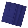 thumbnail image 4 of Turing Bed Cloth, Repositioning In Bed Elderly Slide Sheet Convenient Breathable Blue  For Home Care 70x68cm / 27.6x26.8in, 4 of 8