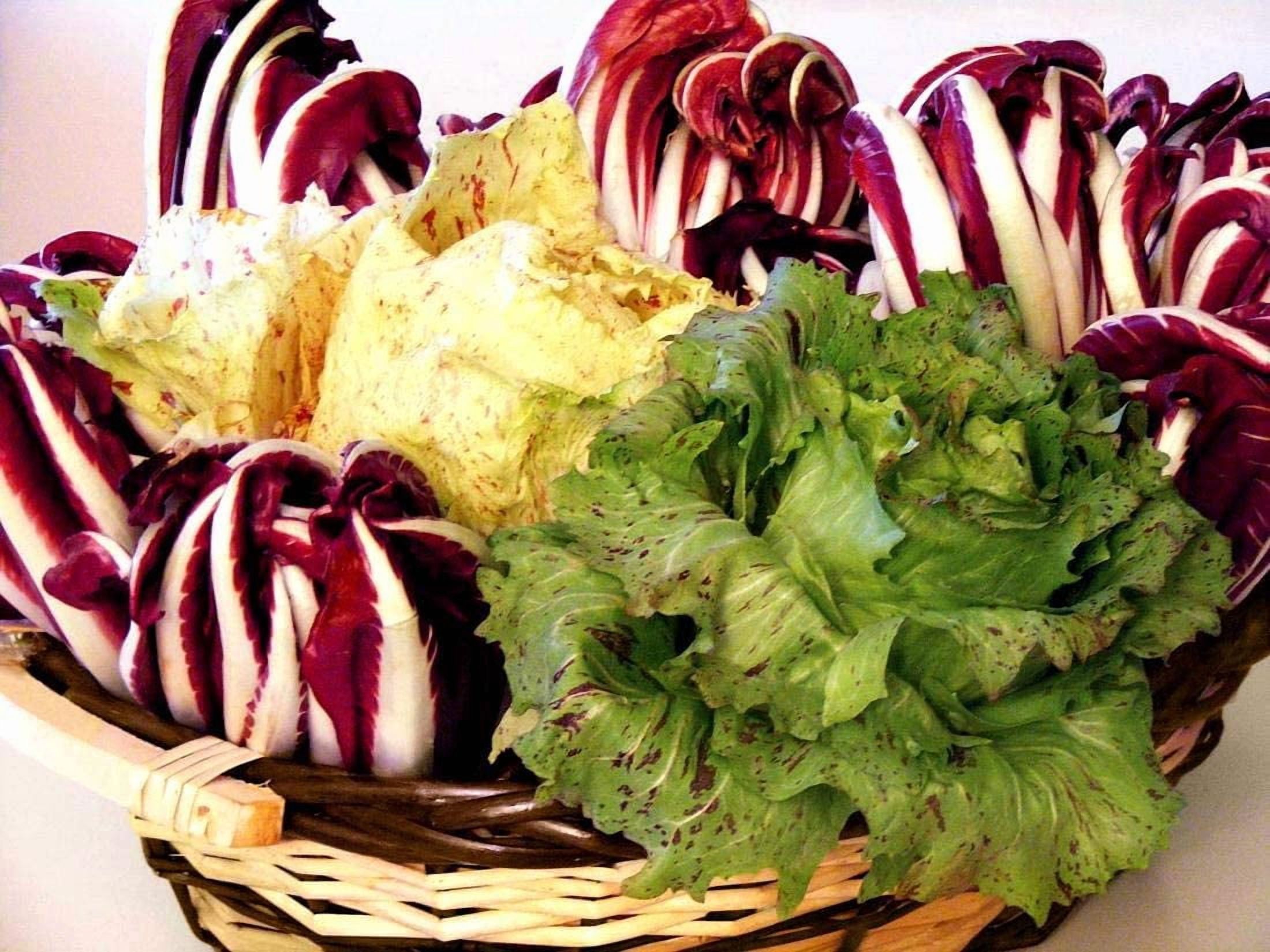 GSDWIUEW Italian Radicchio and Endive Chicory Mix Seeds for Planting Salad Around 700 Seeds