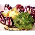 thumbnail image 1 of GSDWIUEW Italian Radicchio and Endive Chicory Mix Seeds for Planting Salad Around 700 Seeds, 1 of 8