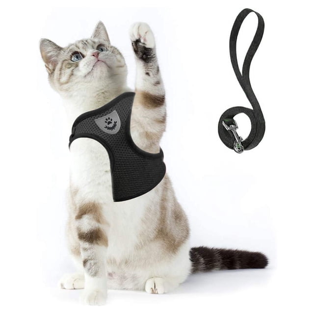 TIMIFIS Cat Harness and Leash set with an adjustable soft mesh vest featuring reflective straps and a sturdy metal D-ring. The lightweight, breathable black vest ensures comfort and safety, evenly distributing leash pressure to prevent pulling or choking. Ideal for outdoor activities like walking, jogging, or hiking with cats. Includes a matching leash, shown separately alongside the vest worn by a cat.
