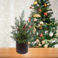 thumbnail image 2 of Holiday Time Décoration D’Arbre Avec Baies Et Pin Dans Panier Marron, 2 of 4