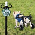 thumbnail image 1 of 2 Wheels Dog Wheelchair For Back Legs Wheels Dog Wheelchair For Back Legs Dog Wheelchair For Back Legs Dog Wheelchair Doggy Wheelchair For Back Legs Dog Wheelchair For Back Legs L Dog Accessories, 1 of 3