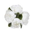 thumbnail image 3 of DesignOvation 7"H Tabletop Artificial Peonies in Glass Vase, 3 of 8