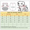 thumbnail image 3 of Chirurgie d'Été de Stérilisation de Chat de Compagnie après la Récupération pour les Chats, 3 of 5