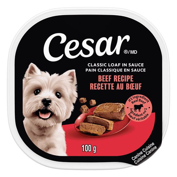 Nourriture humide pour chiens CESAR pain classique en sauce recette au bœuf