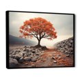 thumbnail image 2 of Designart Tree black framed wall art, Coral Tree Autumn I , Trees Large framed wall art decor, Coral Traditional black framed wall art, 20x12 inches black frame, 2 of 5