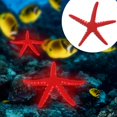 thumbnail image 2 of Plastic Landscape Decoration Aquarium Simulation Starfish, Simulation Starfish, Luminous For Fish Tank Aquarium Blue,red, 2 of 8
