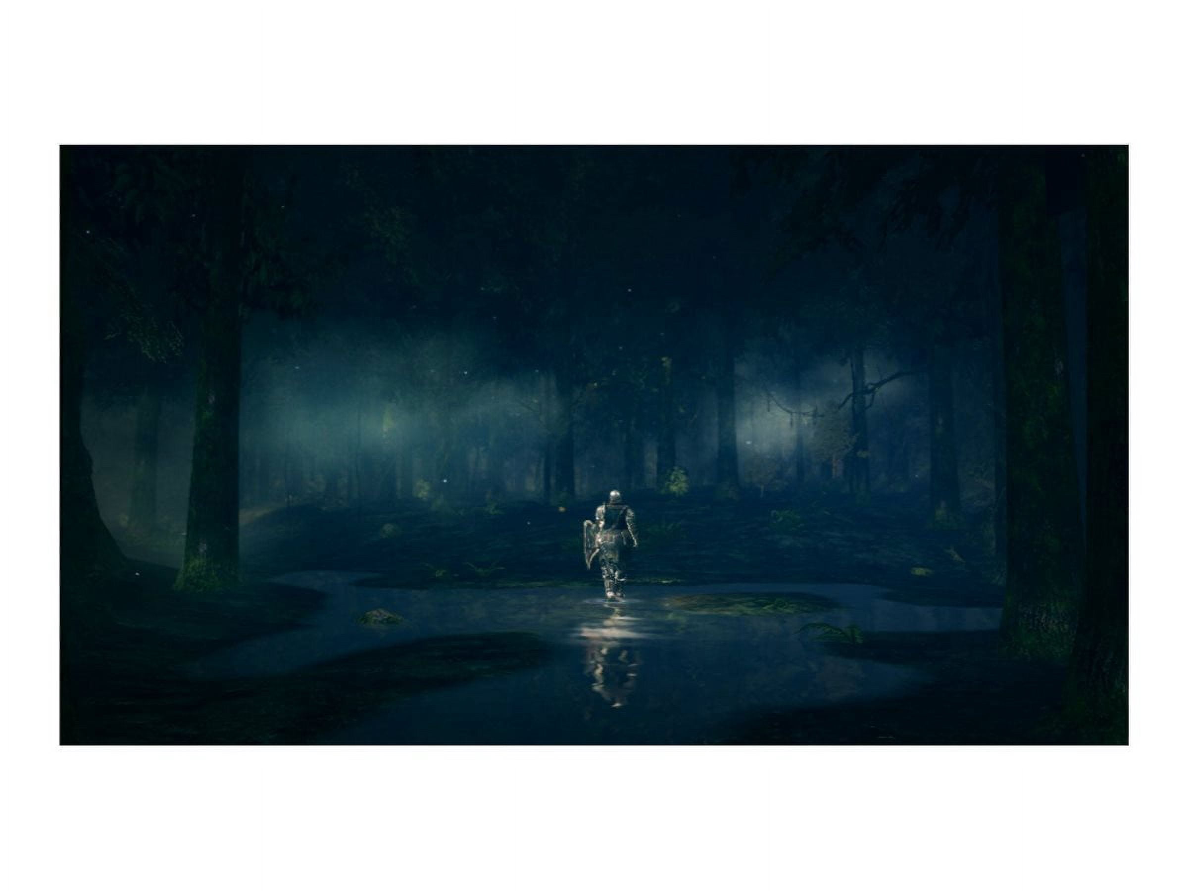 Dark Souls Remastered (PS4)