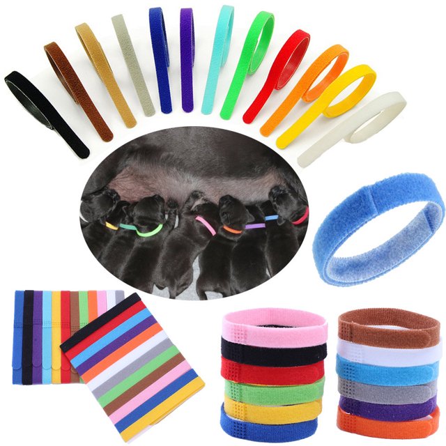 Agiferg 12 Colors Identification ID Collars Bands for whelp puppies, kittens, and pets. Includes 12 multicoloured soft nylon and double velvet collars with an easy snap feature for safety. Designed for tracking weight, health, and behaviour of pets. Suitable for pets aged 4 to 6 weeks. The image shows a variety of colourful collars and a group of puppies wearing them.