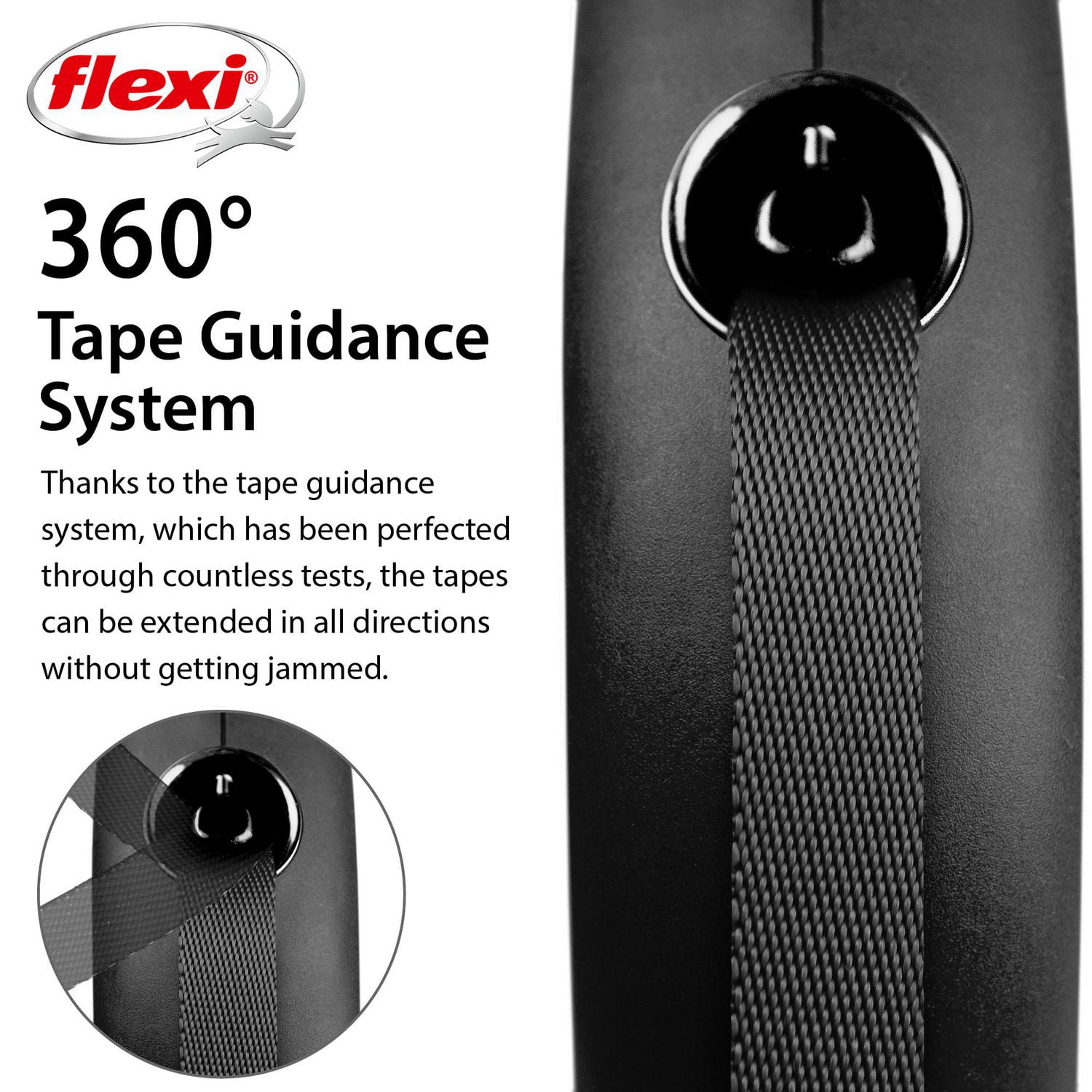 Flexi FUN Grande Laisse pour Chien à Ruban Rétractable 5m