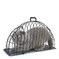 thumbnail image 3 of Cage de Bain pour Chat, Cage de Douche pour Chat, Cage de Douche pour Chat, Cage de Bain pour Chaton, Cage de Sécheuse pour Chat, Cage de Douche pour Chat, Cage de Bain Polyvalente Résistante aux Rayures en Métal pour Chaton pour, 3 of 6