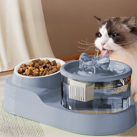 DcGZvy Cat Feeding Food and Water Bowl Set Indoor Cat Bowl, Pet Bowl Dog Bowls for Small Dogs, Small Dog Food Bowls Cute Cat Bowl