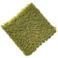 thumbnail image 1 of EGNMCR Outdoor Rug Bathroom Rugs Rugs for Living Room Carpet Soft Foam Mat Small Carpet Protective Floor Tile Sports Game Mat Suitable For Children Children's Room Family Living Room Bedroom A carpet, 1 of 1