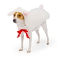 thumbnail image 2 of One Paw, Lamb Dog Costume, Halloween, 2 of 5