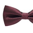thumbnail image 4 of Cravate Formelle à Motif Coloré pour Homme Adulte Homme Affaires Réunion Nœud Papillon Formel Coloré Mariage Nœud Papillon en Fil de Polyester, 4 of 7