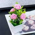 thumbnail image 2 of TIMIFIS Artificial Potted Flowers, Mini Rose Artificial Flowers In Pot, Desktop Decoration for Home Office Faux Flowers for Table Dinning Room Decoration Shelf Decor, 2 of 7
