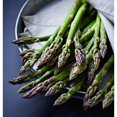thumbnail image 1 of TASC Asparagus Mary Washington Perennial Vegetable Plant, 1 of 2