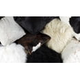 thumbnail image 2 of 2 Pqt Coussins en Mouton 18"X18", 2 of 6
