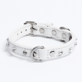 thumbnail image 1 of ATHENS Leather Dog Collar Single Row Rhinestones, 1 of 3