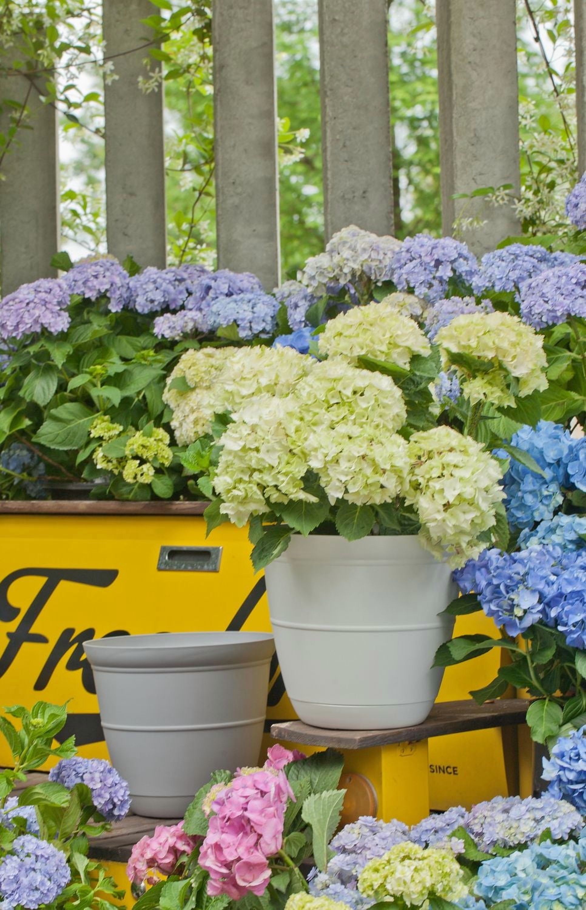 Mainstays Basic Bell Planter 8 inch Grey, Classic Design with Attached Tray Durable Weather Resistant  Matte Finish