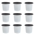 thumbnail image 1 of 60 Pcs Practical Mini Flowerpot Bonsai Pot Plastic Flowerpot Gardening Flowerpot, 1 of 7