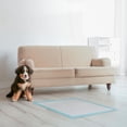 thumbnail image 2 of Vibrant Life Dog Pee Pads and Puppy Training Pads, L (56*56cm), 2 of 5