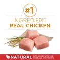 thumbnail image 4 of Purina ONE Chicken & Rice Formula, Dry Dog Food 14kg, 4 of 10