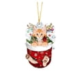 thumbnail image 1 of Christmas Decorations Acrylic Stockings for Cats - Tree Hangs Festive Crafts Unique Holiday for Home Decoration, 1 of 4