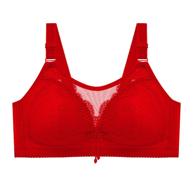 Birdeem Bras for Women Womans Comfortable Lace Breathable Bra Underwear No Rims