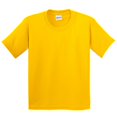thumbnail image 1 of Gildan T-Shirt en Coton Épais pour Enfants (Lot de 2), 1 of 1