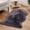 G, variant on EGNMCR Closet Organizers and Storage, Storage Trunks & Bag Winter Living Room Bedroom Sofa Office Seat Window Imitation Wool Plush Carpet 60x90cm Winter blanket