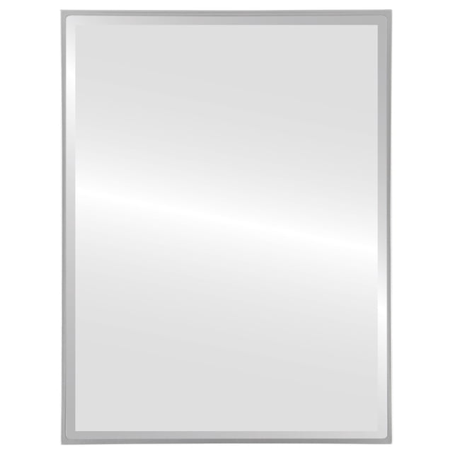 Singapore Framed Rectangle Mirror - Silver Spray - 19" x 25"