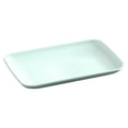 thumbnail image 2 of Rectangular Salad Plates Rectangular Plastic Plates Large Plates Hot Pot Barbecue Plastic Sausage Plates Fruit Plates BBQ Party Decorations, 2 of 6