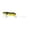 A, variant on Realistic 3D For Trout & Catfish Fishing For Freshwater & Saltwater Baitcaster Reels Baitcaster Rod And Reel Combo Baitcaster Rod Baitcaster Baitcaster Combo Baitcaster Reels And Rod Combo Baitcaster
