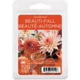 thumbnail image 1 of ScentSationals Scented Wax Cubes -Beauti-Fall, 1 of 4