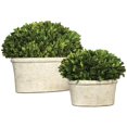thumbnail image 1 of Uttermost 2-Piece Ceramic Oval Dome Preserved Boxwood Set in Mossy Green, 1 of 3