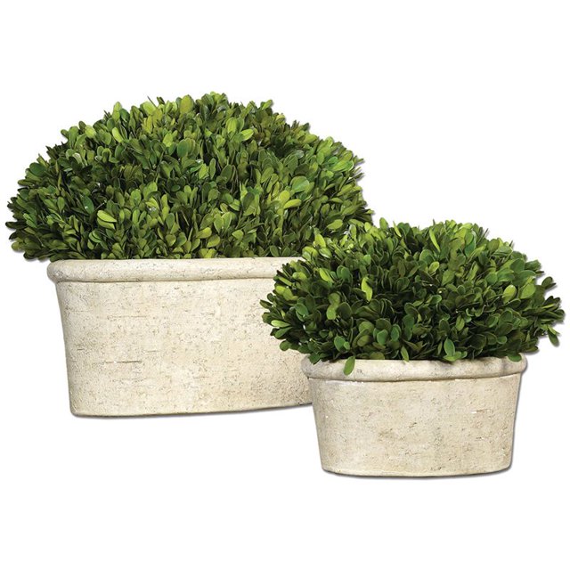 Uttermost 2-Piece Ceramic Oval Dome Preserved Boxwood Set in Mossy Green
