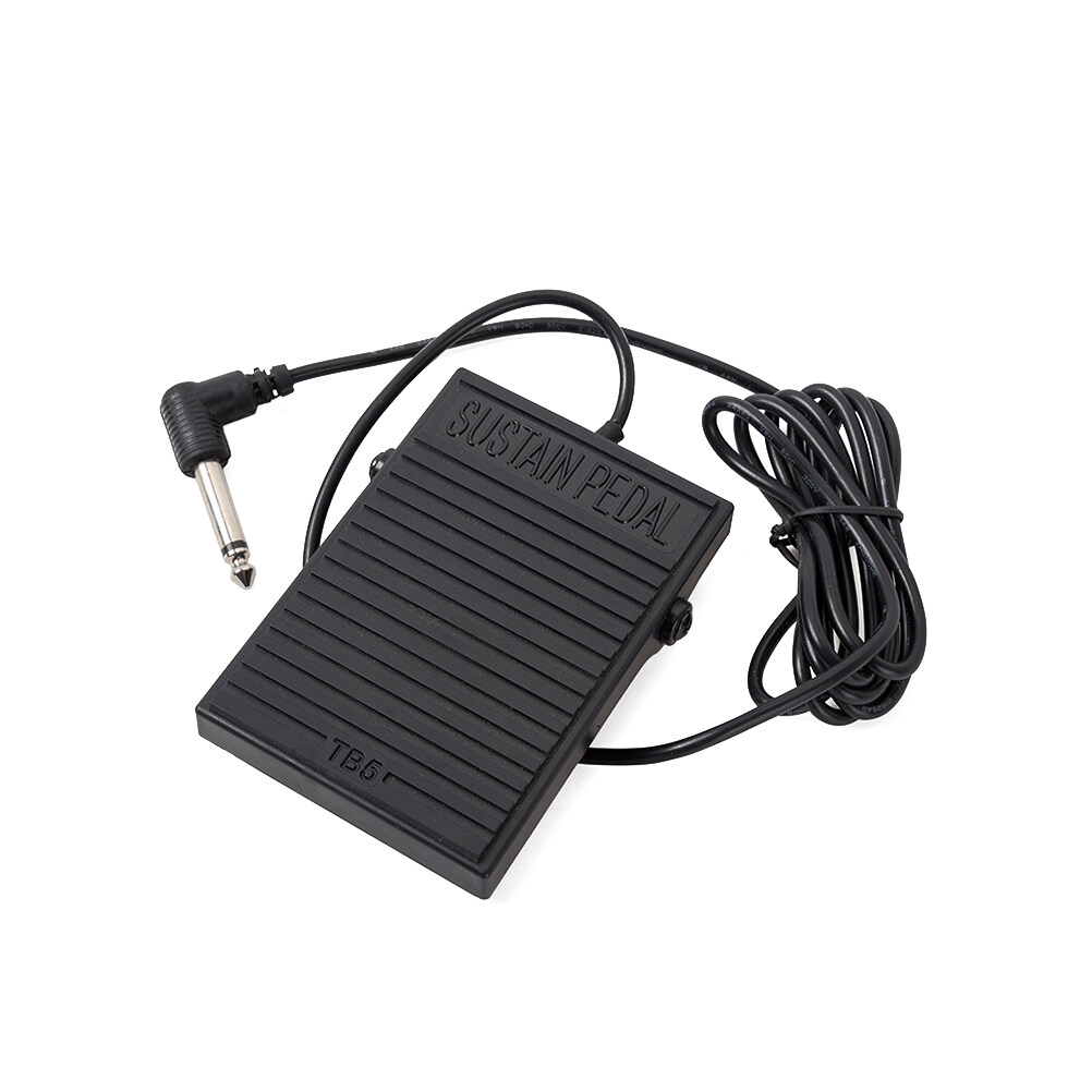 EeaseCA Universal Black Foot Sustain Pedal Controller Switch Electronic Piano Keyboards Instruments Musical Tone Piano Accessories O27