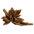thumbnail image 1 of Vickerman H2STA725 6-11 in. Aspen Gold Star Pod, 1 of 1