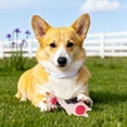 thumbnail image 1 of Durable Interactive Chew Toy For Aggressive Chewing Puppies Teething And Anxiety Soothing, 1 of 6