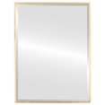 thumbnail image 1 of Singapore Framed Rectangle Mirror - Gold Leaf - 19" x 25", 1 of 7