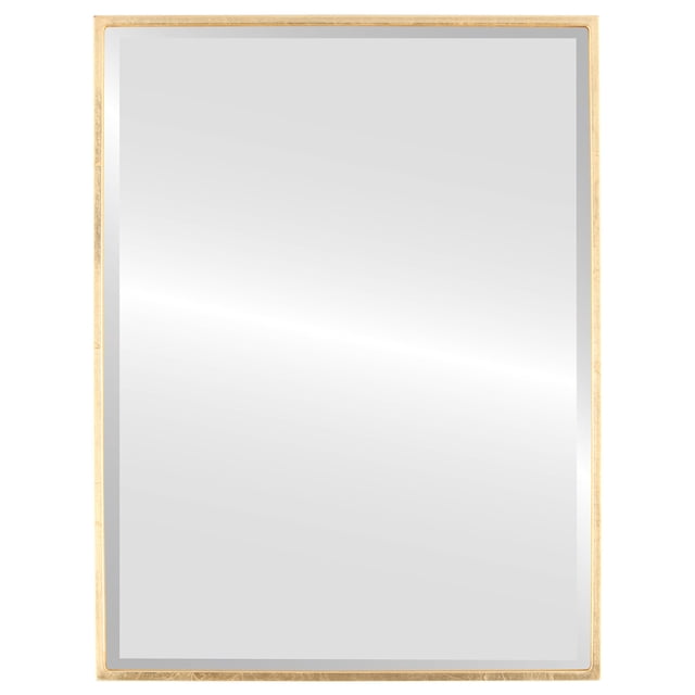 Singapore Framed Rectangle Mirror - Gold Leaf - 19" x 25"