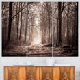 thumbnail image 1 of Sentier Forestier en Sépia, 1 of 3