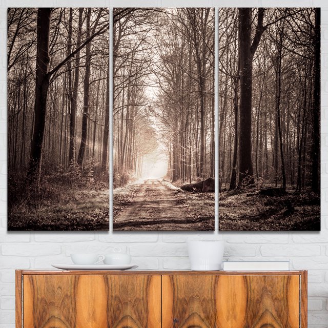 Sentier Forestier en Sépia