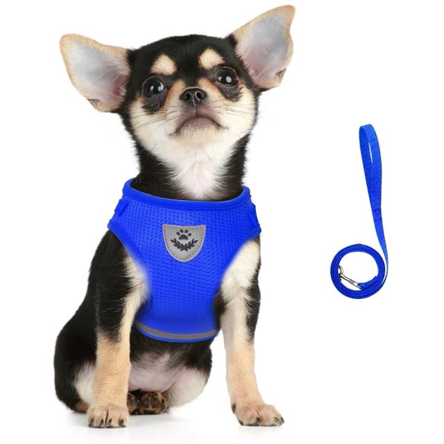 Dog Harness and Lead Set, Soft Mesh Padded Harness for Puppies and Cats, Reflective, Adjustable, Breathable Chest Harness for Walking, Running, Training (Blue,XS)